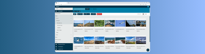 Manage your photo gallery with Databox